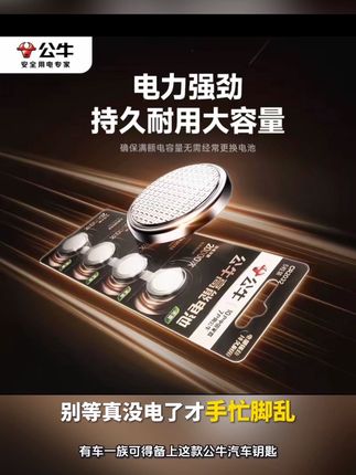 #男士神仙单品 #好物推荐🔥 #汽车电池#电池#娜宝的橱窗