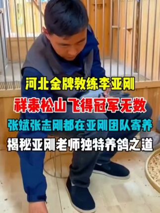 #信鸽#职业赛鸽#养鸽人