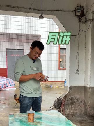 这下午又是自由时刻了#月饼#老式月饼#伍仁月饼#优质农产品#月饼