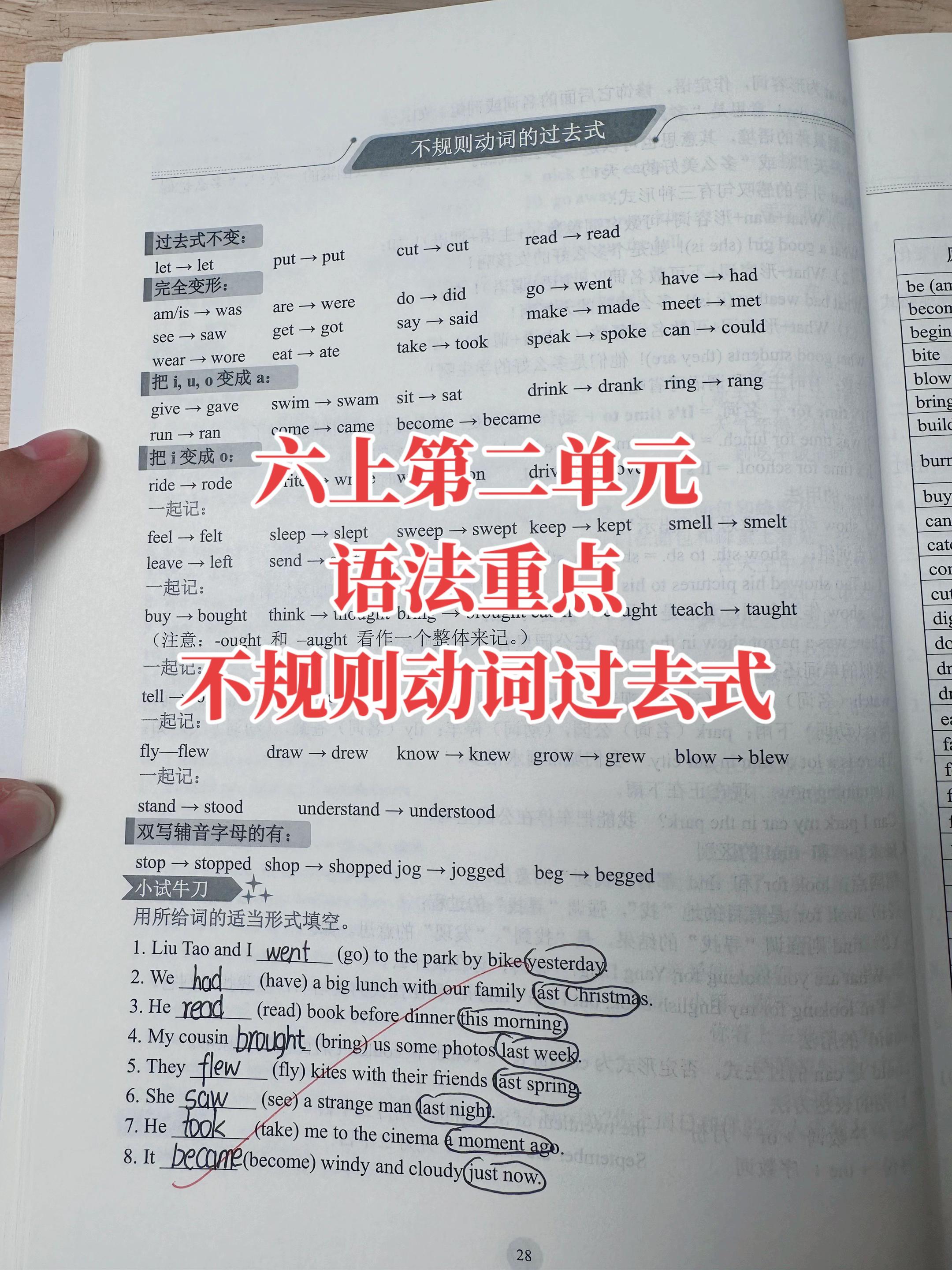 六上第二单元语法重点!不规则动词过去式,这张表一定要背熟,会默写! #六年级英语#知识分享 #英语语法 #小学英语 #每天进步一点