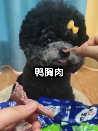 营养又美味的蒸煮鱼油鸭胸肉,猫猫狗狗都爱吃,清火下泪痕,每天吃一包,好吃到停不下来,快给你家毛孩子也尝尝#萌宠好物 #妈呀太香了#狗狗