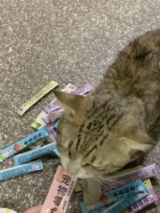 宠物用品赛道文案素材 - 养宠人闭眼入 #新手养猫经验 #宠物好物分享 #鱼油猫条 #梦小七 - 🌈草莓荔枝啵啵🌈作品