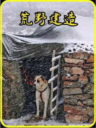 别人还在野外苦苦求生时,男人已经在野外生活了一个年头! #野外建造 #解压助眠 #荒野建造