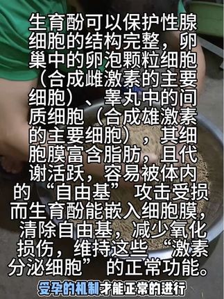 今天给大家讲解一下生育酚的概念#自繁自养 #肉兔养殖 #三农 #创业 #抖音助农
