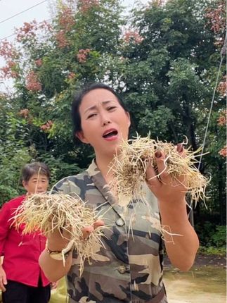 上半年大汗,下半年淹    辛苦努力 整整一年,到最后还赔钱,农民真是难#农民种地不容易  #我要上热门🔥