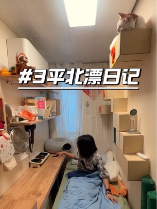 认真过好今天,期待更好的明天 #北漂#记录真实生活#沉浸式 #伯纳天纯 #伯纳天纯猫粮