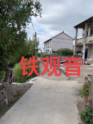 福建新茶安溪铁观音礼盒,高端大气,送人体面,刷到的赶紧冲!#铁观音 #原创视频