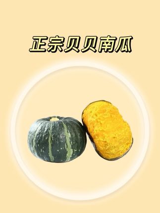 真贝贝南瓜,产地大丰收了,13.9就给咱们发5斤! #真贝贝南瓜#贝贝南瓜#粉糯贝贝南瓜