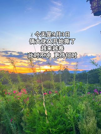 月初了,我怎么停机了?#美景美景 #美景 #美的风景 #我的绿色生活
