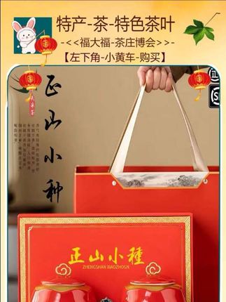 正山小种武夷红茶春季新茶高档茶叶礼盒装送礼送长辈商务(鸿运红)
