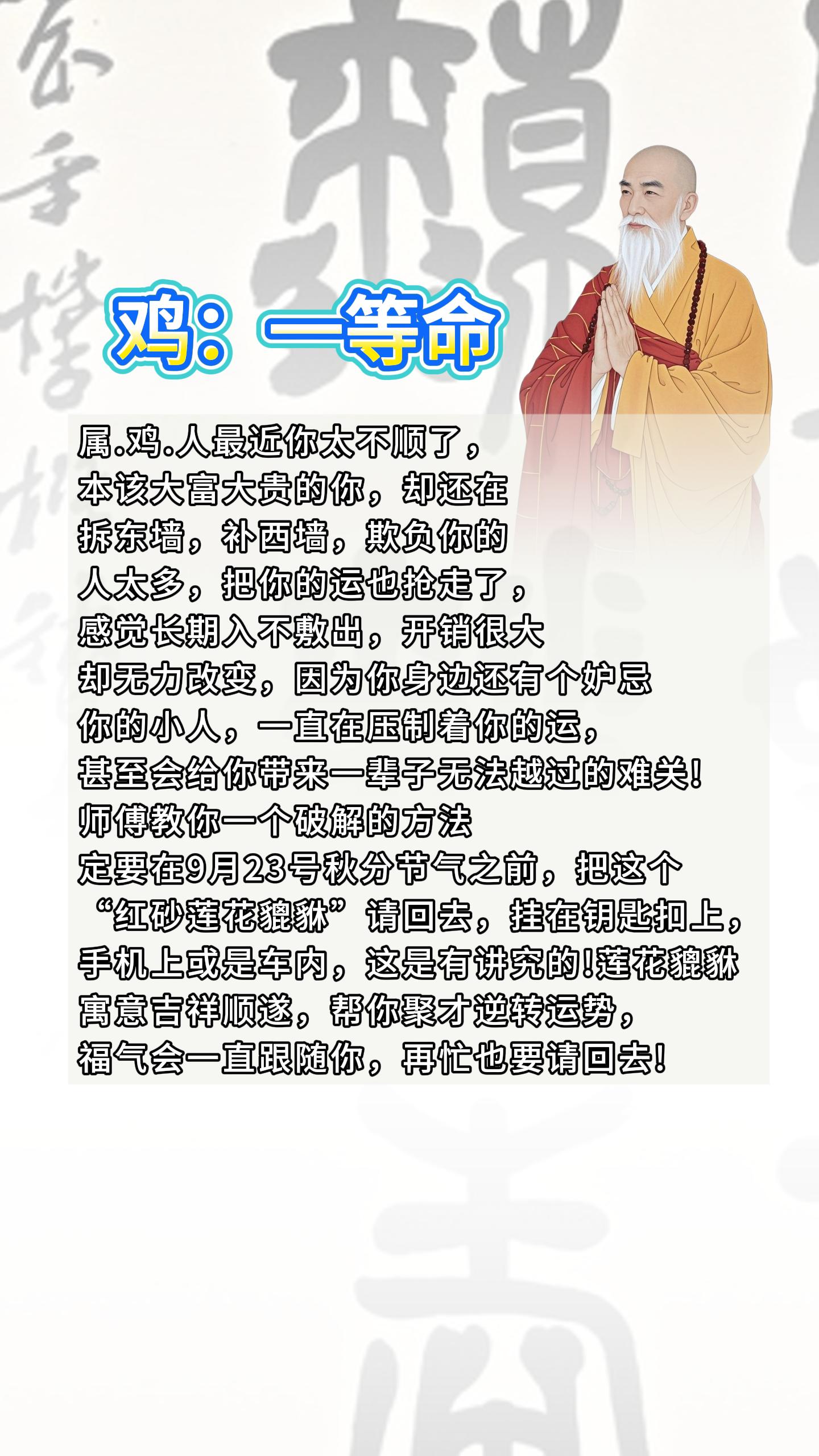 #鸡 #属鸡 #生肖鸡