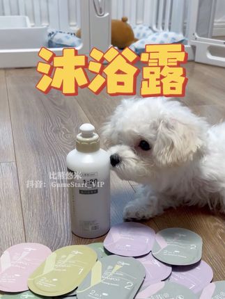 终于挖到宠物店给狗狗洗澡秘密了,就是它,平常洗一次一两百,现在29.9块到手8包,还送稀释瓶,温和清洁,洗完毛亮又顺滑,赶紧冲#比熊 #沐森堂 #狗狗洗澡