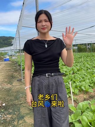 #优质农产品原产地 #潮蔬潮味 台风天气来啦,有需要备菜的可以安排起来了。