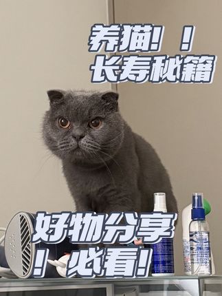 宠物用品赛道文案素材 - #好物分享
#养猫长寿秘籍 - CherryBomb作品