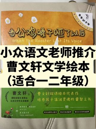 小众语文老师推介:曹文轩文学绘本 #好书分享 #好书推荐 #童书推荐 #课外阅读 #绘本