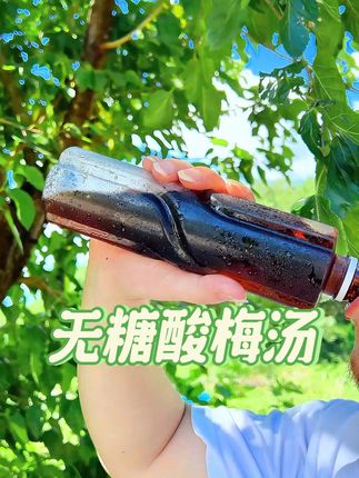 天热怎么能少的了这个0脂0糖的#酸梅汤 一条相对于两粒瓜子的热量,冷水就能速溶酸酸甜甜冰冰凉#无糖酸梅汤 #好喝不贵 #一口就爽的夏天