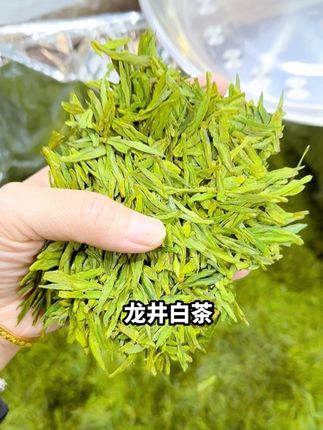 有龙井的香甜又有白茶的鲜爽#今日分享