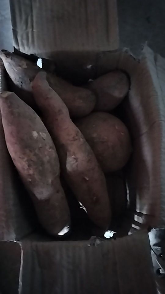 红薯已收到了很好很大#我在抖音买买买