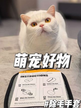 养宠家庭好物之静电除毛手套,可谓是“去毛神器”,适合多种场景使用 #养猫好物 #萌宠好物 #养猫用品推荐 #宠物用品分享 #去毛神器