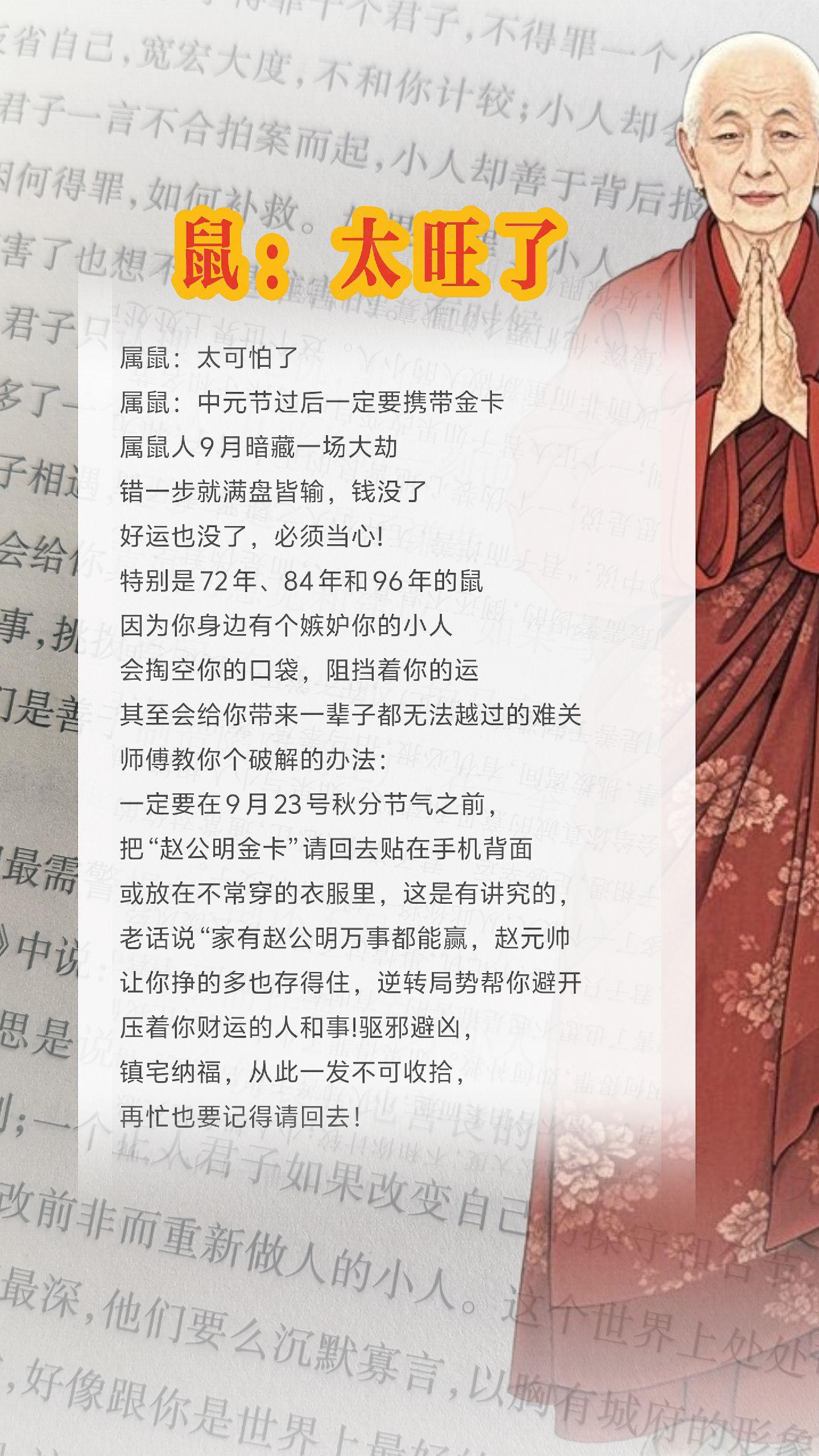 #属 #属鼠 #生肖鼠