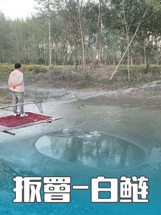 #捕捞现场 #户外#农村生活 #钓鱼 @DOU+小助手 #dou上热门