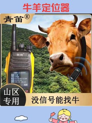 图趣/青笛无线电牛羊定位器 山区无网无信号放牧专用 防丢失项圈#牛羊定位器 #牛羊防走丢项圈 #牛羊养殖