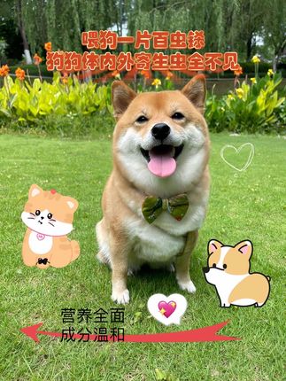 #养狗小知识 #养狗经验分享 #萌宠出道计划 #萌宠推荐官 #科学养宠攻略