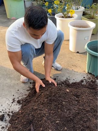 三角梅怎样配土?#养花小知识 #种植小技巧 #三角梅配土 #蚯蚓粪