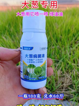 大葱种植 #大葱干尖黄叶 #大葱专用#三农 #种植小技巧