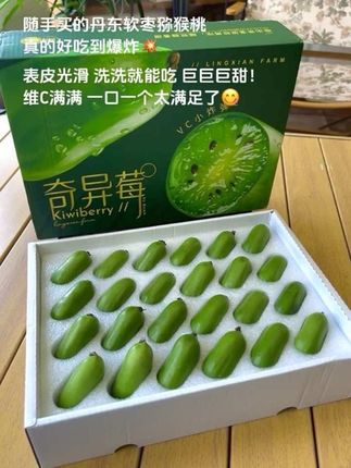 随手买的丹东软枣猕猴桃,真的太惊艳了!表皮滑溜溜的,洗洗就能吃,不用剥皮超省事!一口下去巨甜还爆汁!维C满满,一口一个超过瘾,简直幸福感爆棚~😋喜欢吃猕猴桃的一定要尝尝!#软枣猕猴桃 #新鲜应季水果 #酸酸甜甜#现摘现发新鲜到家 #超便宜超划算