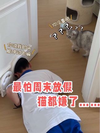 好不容易熬到开学转眼又周末!!猫表示怕了怕了…真是到了猫都嫌的年纪#粤语猫 #宠物剧情 #宠物配音 #鼻炎 #氮䓬斯汀氟替卡松