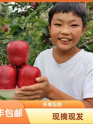 【顺丰包邮】正宗天水花牛苹果当季精选健康营养水果#质量好#好产品分享