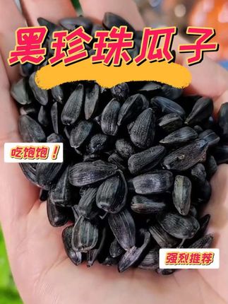 内蒙特产小瓜子,皮薄肉厚,巨好吃。#优质农产品 #内蒙特产 #黑瓜子 #黑珍珠瓜子 #小瓜子