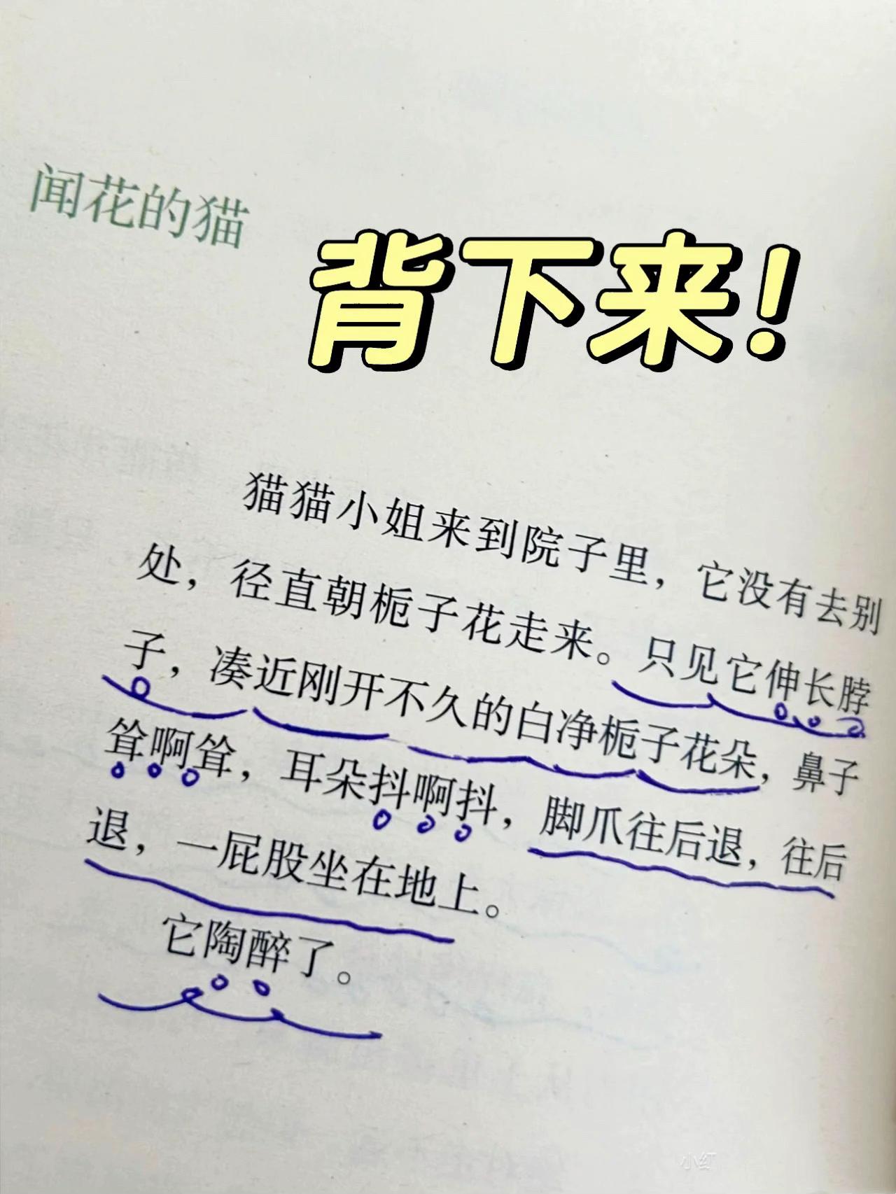 #阅读分享 不愧是语文老师和各大书单强烈推荐!! 作者肖定丽老师(冰心奖+国家图书奖得主)太太太会写了!让普通的东西瞬间活起来、美起来,是我们最缺乏的想象力训练!关键孩子一看就懂、一学就会!