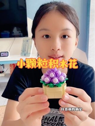 担心孩子放假就看电视玩手机么?这套积木赶紧安排上了#多肉积木花#手工diy #动手动脑 #送给女孩子的礼物 #解压玩具 @DOU+小助手 @抖音创作灵感 @抖音小助手 @抖音电商作者成长