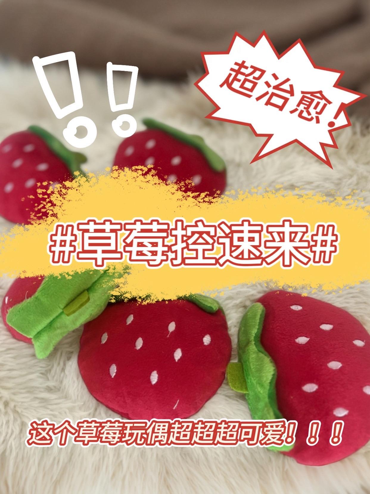 萌宠玩偶草莓可爱玩偶玩具适合猫狗逗乐