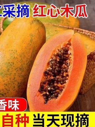 广西正宗冰糖心红心牛奶木瓜新鲜当季水果香甜多汁细腻软糯#正宗冰糖心牛奶木瓜 #当季水果推荐