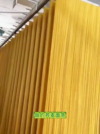老乡们,正宗高山黄苦荞面条来了,粗粮细作,口感筋道不起坨 #荞麦面 #荞麦面条 #粗粮#粗粮细作 #粗粮主食