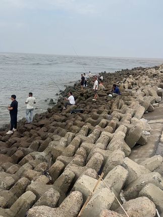 振东闸开闸了 鲈鱼已经爆钩了#海钓鲈鱼