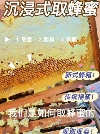 一个视频带你体验取蜂蜜的全过程#取蜂蜜全过程#蜂蜜#养蜂人#三农 #我的乡村生活