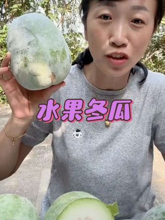 【现摘现发】露天种植水果小冬瓜迷你冬瓜新鲜采摘小冬瓜5/9斤#优质农产品 #水果小冬瓜#小冬瓜 #煲汤食材 #冬瓜