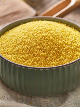 刘僧内蒙古赤峰敖汉黄小米2.5kg农家小黄米五谷杂粮小米粥金苗K1#营养丰富