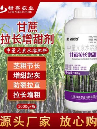 甘蔗根茎增甜剂甘蔗根茎专用肥拉直甘蔗根茎种植技术与施肥地下 #三农 #服务三农支持三农 #农业种植 #甘蔗种植@东方洪 @松哥助力号(北流市一姐百货店早上10点) @子樱零食 @秀姐影视