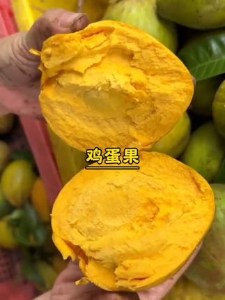 蛋黄果也叫鸡蛋果,口感绵密香甜,营养丰富,是吃了还想吃的水果!没有尝试过的朋友,一定要试试。#新鲜应季水果 #蛋黄果 #鸡蛋果 #稀有水果 #好物推荐🔥