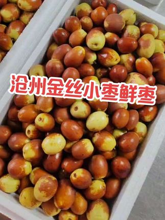 沧州金丝小枣鲜脆枣现摘现发,小车里下单