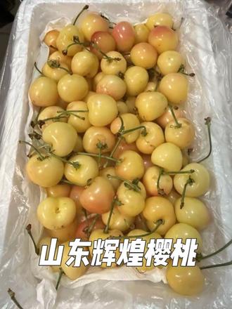 #樱桃 #山东樱桃 #辉煌樱桃 李富贵家的山东樱桃-辉煌 脆甜 放冰箱回冷后会更加好吃 个头也很大