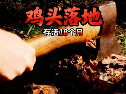 一只鸡被砍掉头后又存活了18个月 #拒绝废话 #科普 #冷知识
