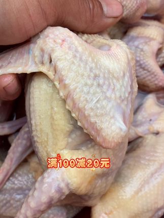 鸽子是补营养,煲汤炖肉,孕妇、喂孩子都可以吃#鸽子汤 #鸽子 #乳鸽 @DOU+小助手