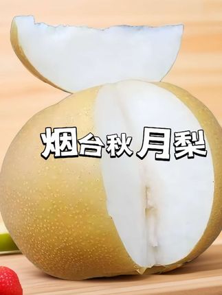 宝子们!正宗烟台秋月梨来啦🍐爆汁脆甜核超小,润肺降燥超润喉!果园现摘现发,一口沦陷停不下来~速囤!#正宗烟台秋月梨爆汁来袭#强烈推荐