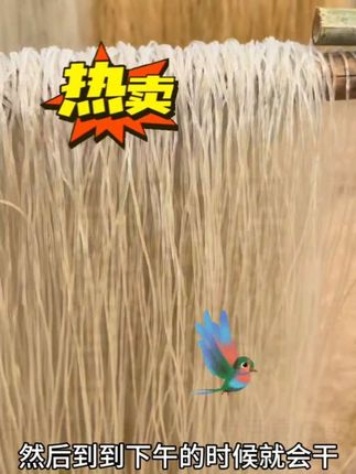 #想问一下今年是没有秋天吗 #舌尖上的味道 #纯天然无添加 #分享家乡美食 #特色农产品 @DOU+小助手